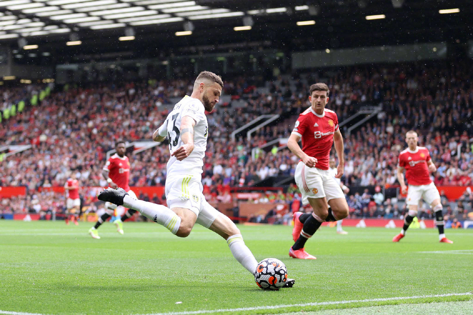 生物力学的 生物力学的